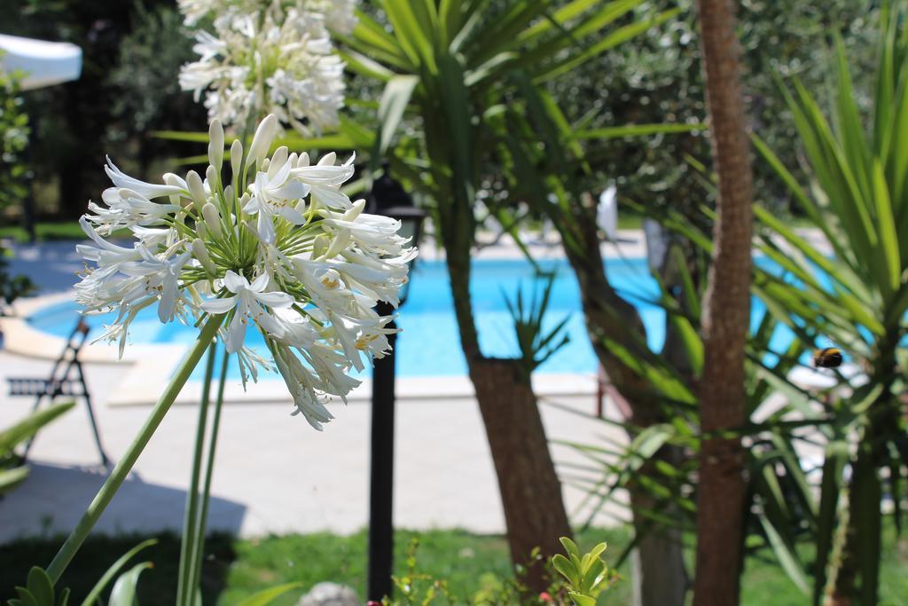 Villa Orchidea Luxury B&B Ispica Eksteriør billede
